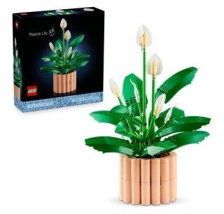 LEGO Botanicals 11504 — Skrzydłokwiat